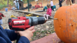 Finches using tools at Meridian Hills Co-op