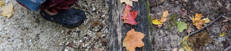 IMG_20200928_114538
